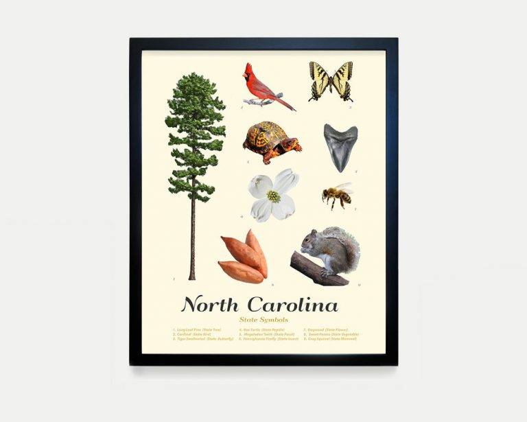 north-carolina-facts